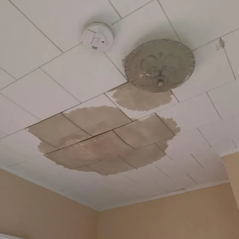 Ceiling Water Damage Repair in Falcon Heights, MN
